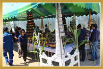 พิธีวางศิลาฤกษ์ อาคารสำนักงาน ปตท. ฟิวเจอร์พาร์ครังสิต